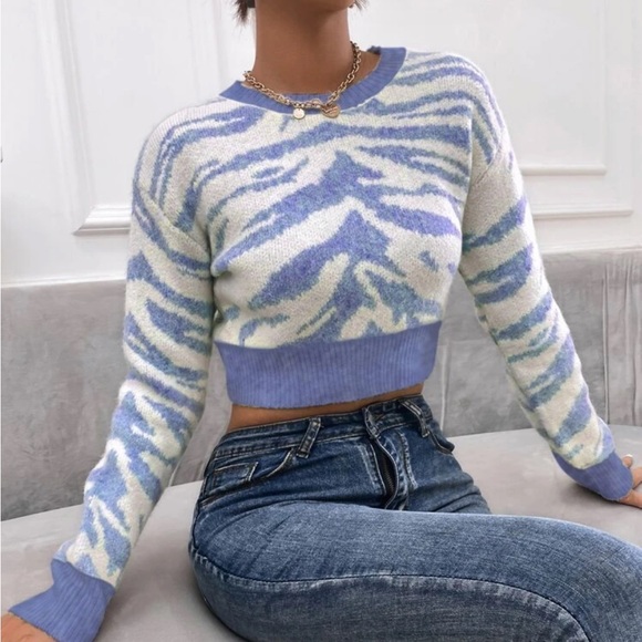 Sweaters - Zebra Striped Blue Sweater